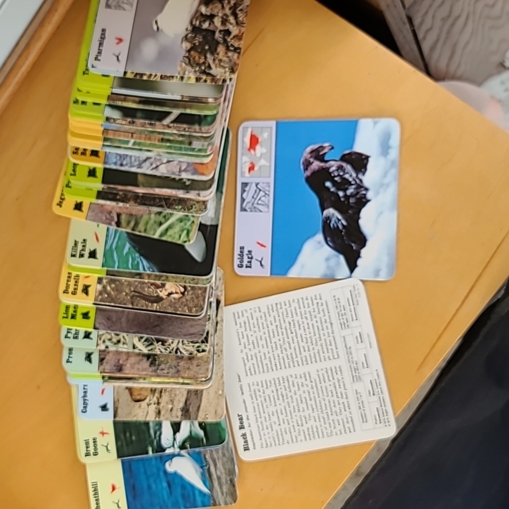 159 Editions animal cards lot